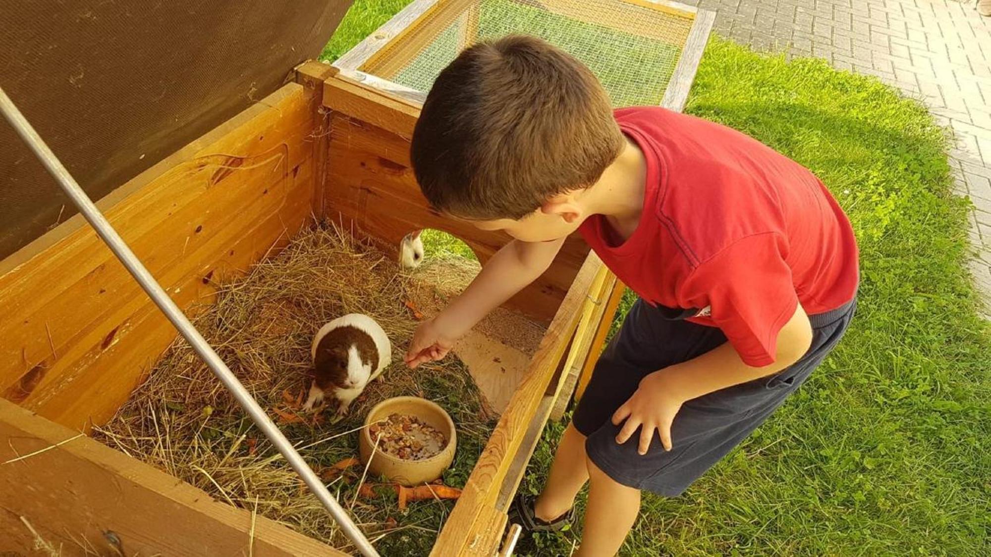 Ferienbauernhof Mehlbach Vendégház Kollnburg Kültér fotó