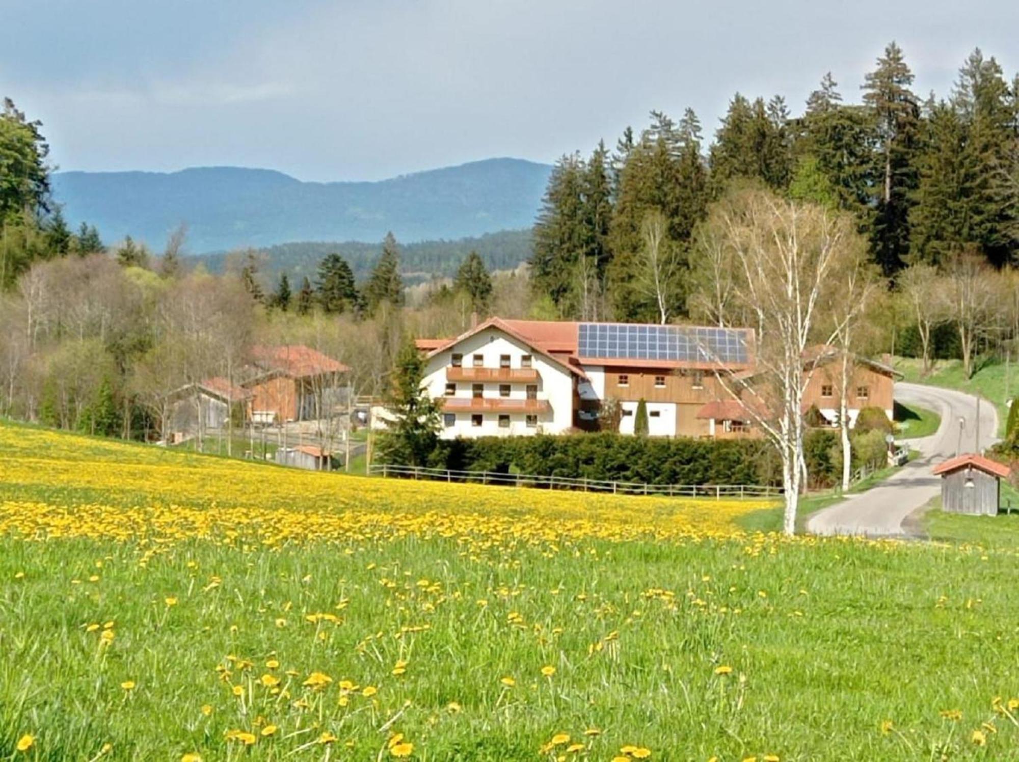 Ferienbauernhof Mehlbach Vendégház Kollnburg Kültér fotó