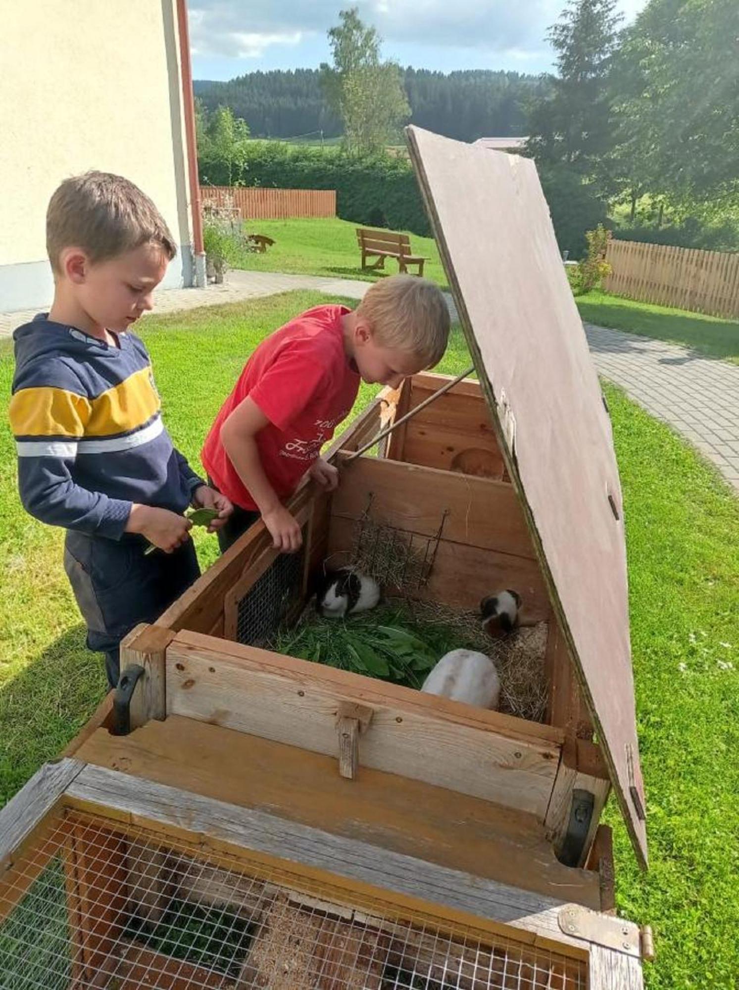 Ferienbauernhof Mehlbach Vendégház Kollnburg Kültér fotó