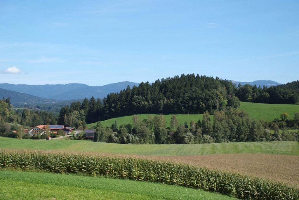 Ferienbauernhof Mehlbach Vendégház Kollnburg Kültér fotó
